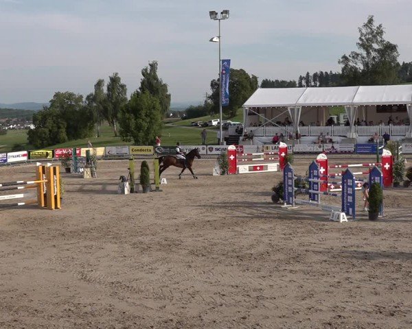 Reitturnier Humlikon 2024