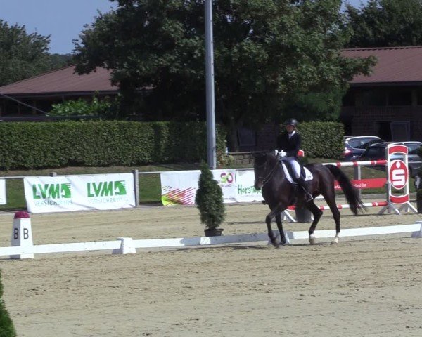 Reitturnier Ennigerloh-Neubeckum 2024