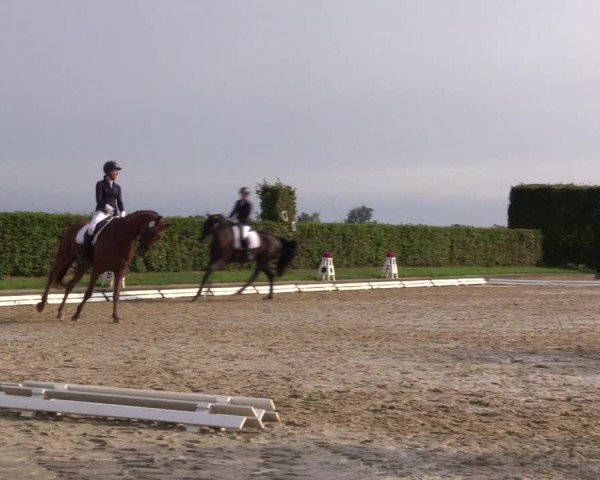 Reitturnier Ennigerloh-Neubeckum 2024