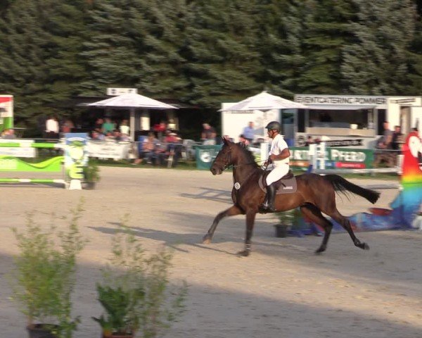 Reitturnier Pietzpuhl 2024
