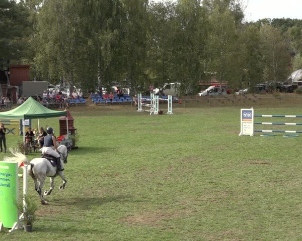 Reitturnier Dannenberg 2024