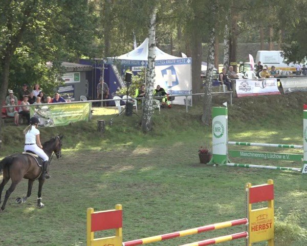 Reitturnier Dannenberg 2024
