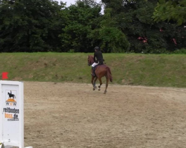 Fröndenberg 2013