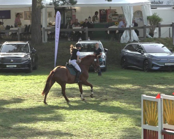 Reitturnier Dannenberg 2024