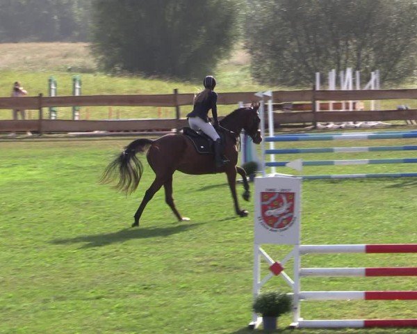 Reitturnier Pinnow 2024