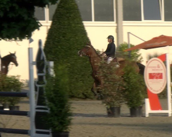 Reitturnier St.Wendel, Gestüt Welvert 2024