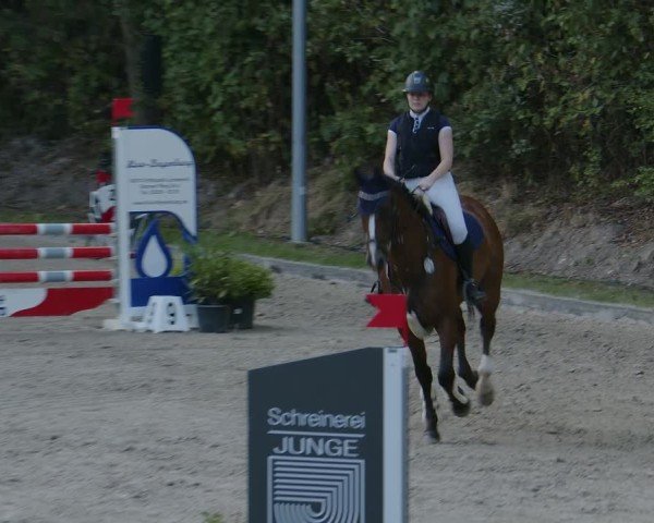 Reitturnier Köln-Flittard (Scheuerhof) 2024