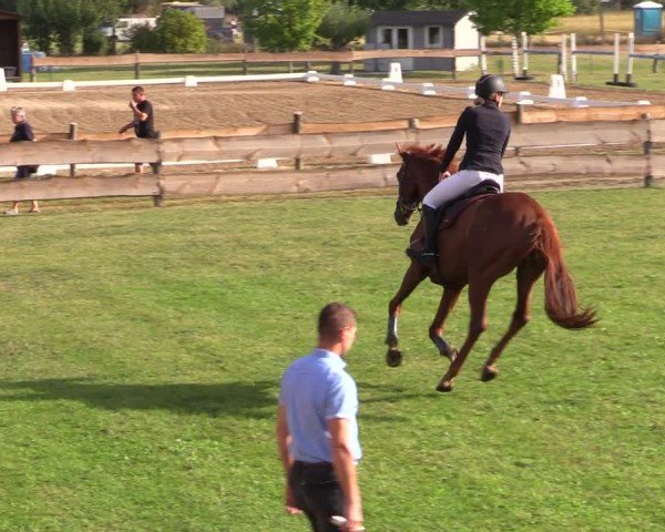 Reitturnier Pinnow 2024