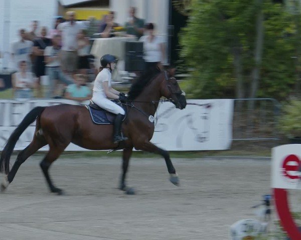 Reitturnier Köln-Flittard (Scheuerhof) 2024