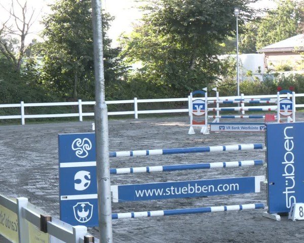 Reitturnier Springturnier Mildstedt 2024