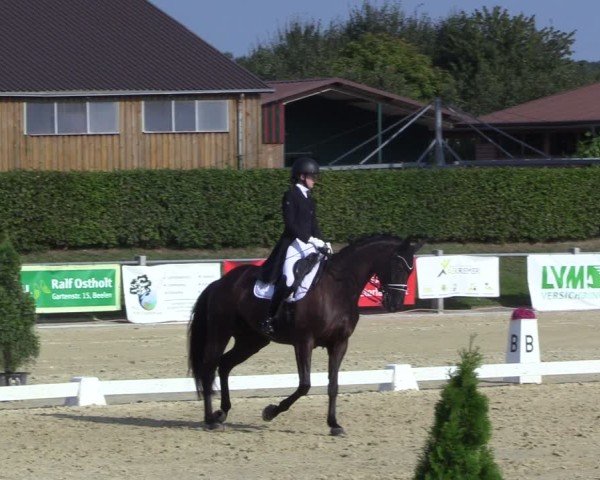 Reitturnier Ennigerloh-Neubeckum 2024
