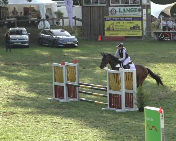 Reitturnier Dannenberg 2024