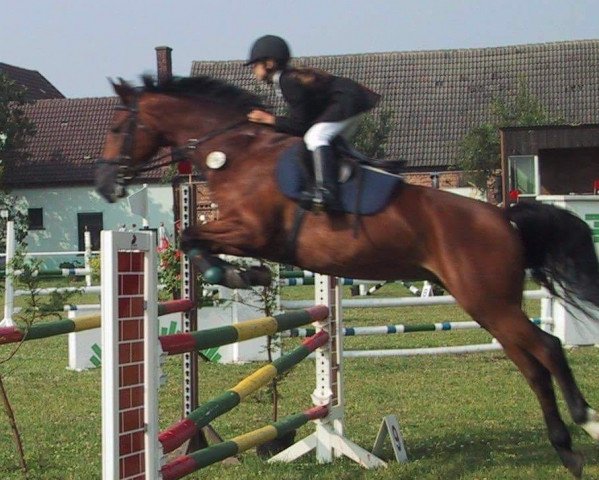 broodmare Prisca 47 (Brandenburg, 1993, from Pik Bube II)