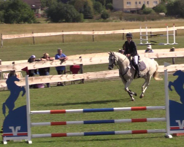 Reitturnier Pinnow 2024