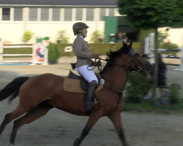Reitturnier St.Wendel, Gestüt Welvert 2024