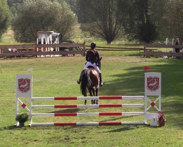 Reitturnier Pinnow 2024
