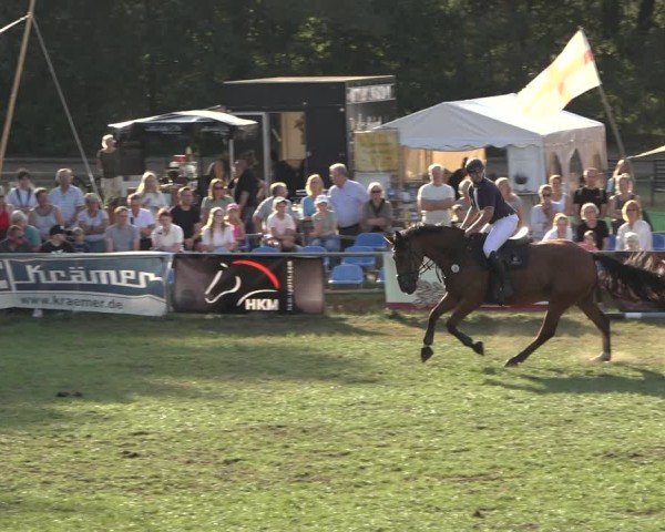 Reitturnier Dannenberg 2024