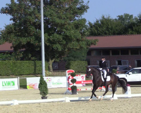 Reitturnier Ennigerloh-Neubeckum 2024
