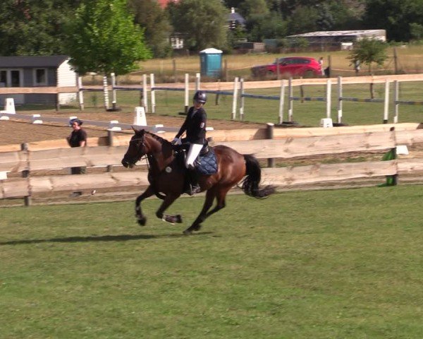 Reitturnier Pinnow 2024