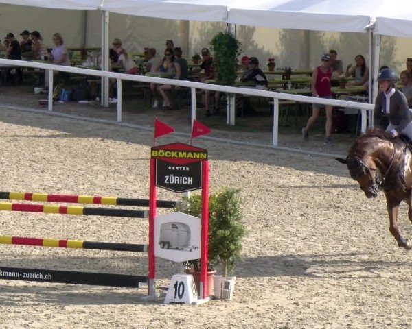 Reitturnier Bülach 2024