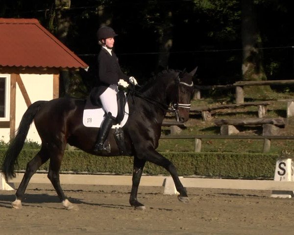 Reitturnier Neu-Anspach / Wintermühle 2021