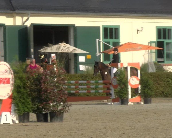 Reitturnier St.Wendel, Gestüt Welvert 2024