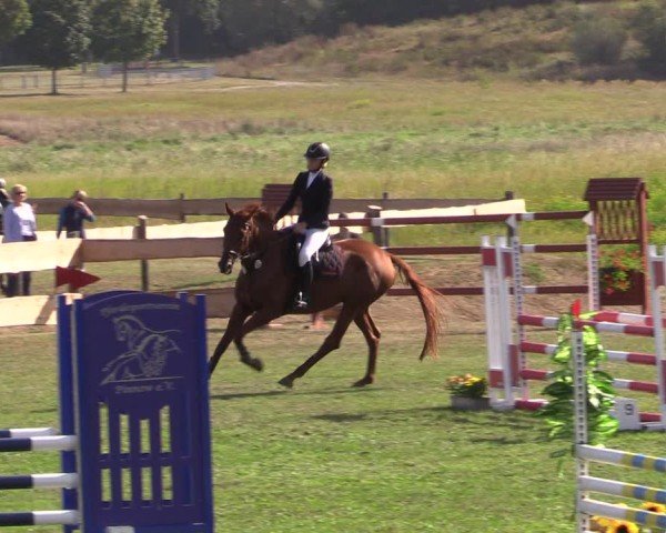 Reitturnier Pinnow 2024