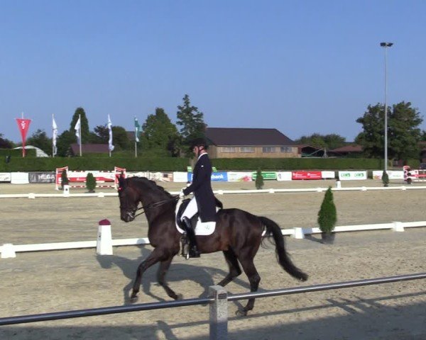 Reitturnier Ennigerloh-Neubeckum 2024