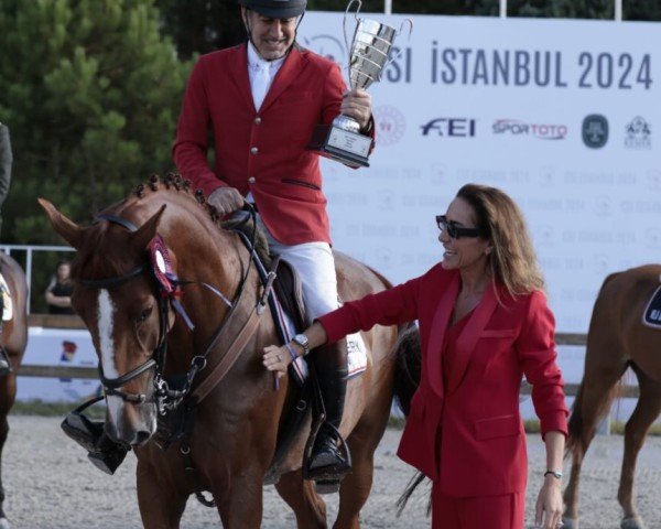 jumper Bentley 7 (Austrian Warmblood, 2015, from Emerald van 't Ruytershof)