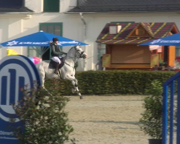Reitturnier St.Wendel, Gestüt Welvert 2024