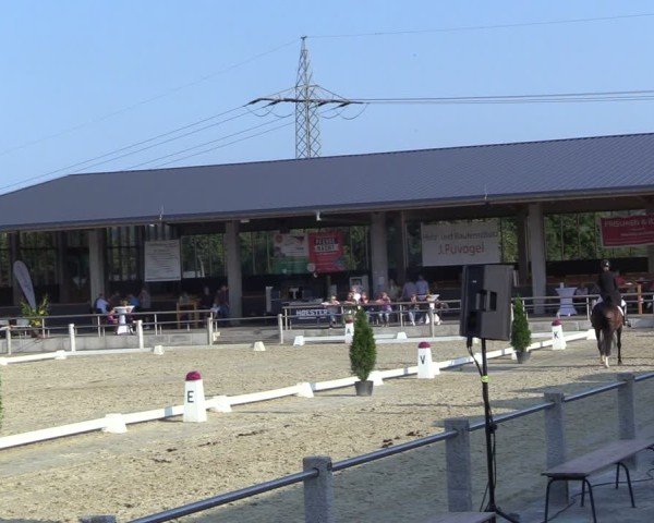 Reitturnier Ennigerloh-Neubeckum 2024