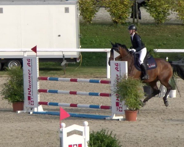 Reitturnier Bülach 2024