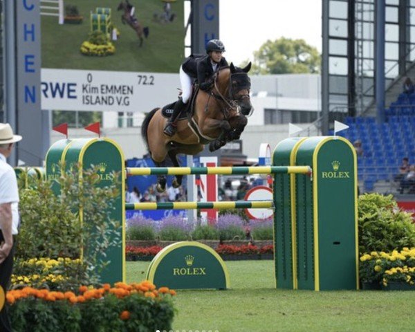 jumper Island V G (KWPN (Royal Dutch Sporthorse), 2013, from Zirocco Blue)
