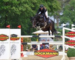 jumper Flying Kiss (Oldenburg show jumper, 2017, from Kannan)