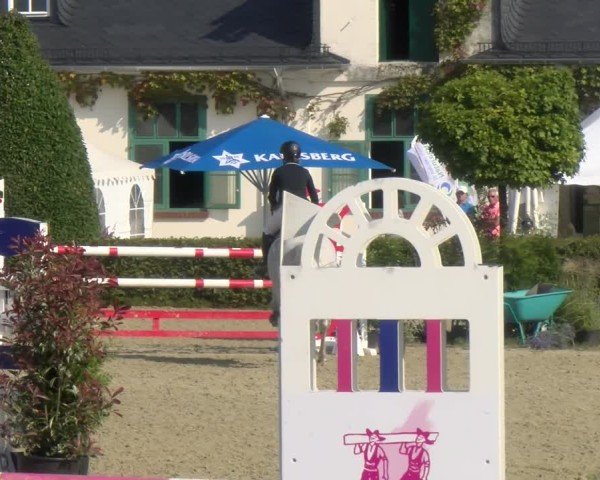 Reitturnier St.Wendel, Gestüt Welvert 2024