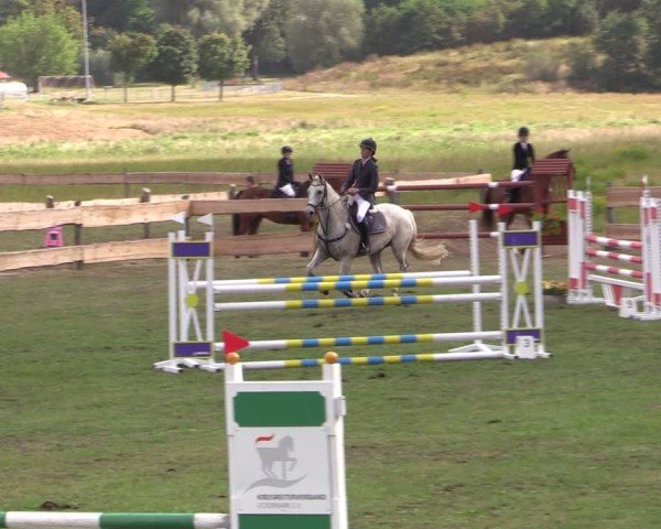 Reitturnier Pinnow 2024