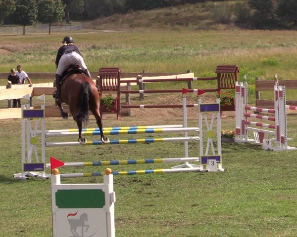 Reitturnier Pinnow 2024