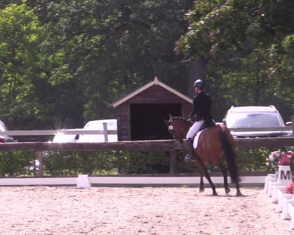 Reitturnier Müncheberg 2024