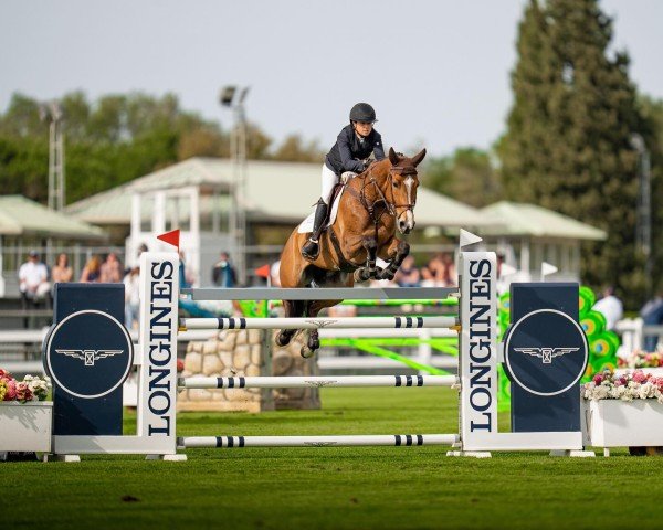 Springpferd Irivola del Maset (Spanisches Sportpferd, 2015, von Indret del Masset)