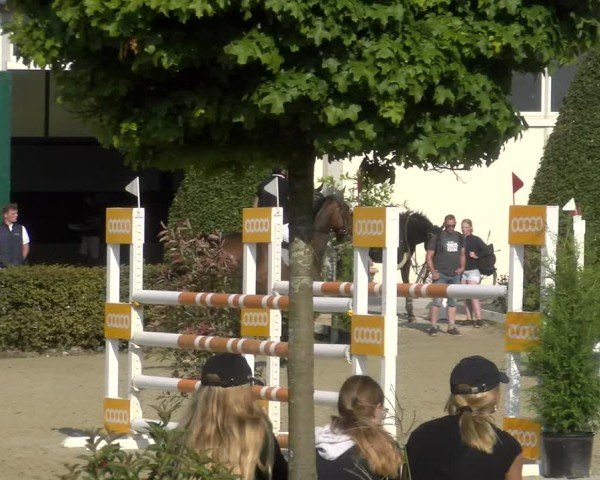 Reitturnier St.Wendel, Gestüt Welvert 2024
