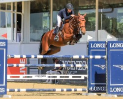 jumper Dalia del Maset (Spanish Sport Horse, 2017, from Diamant de Semilly)