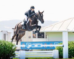jumper Elba del Maset (Spanish Sport Horse, 2016, from Eilan del Maset)