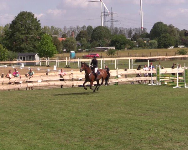 Reitturnier Pinnow 2024