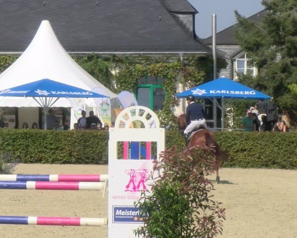 Reitturnier St.Wendel, Gestüt Welvert 2024