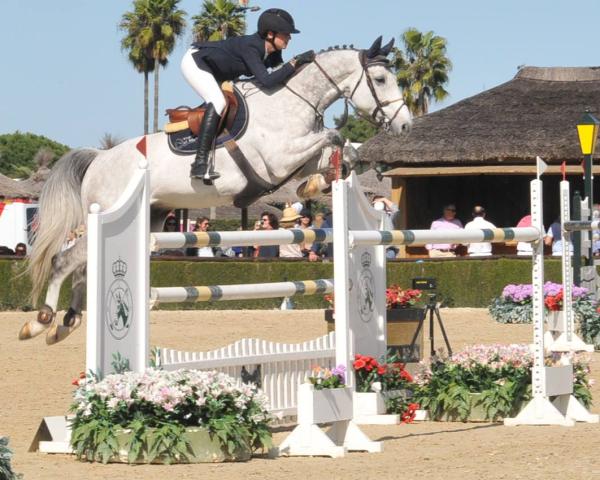 Springhest Vif Alia (Selle Français, 2009, fra Quint Alia)