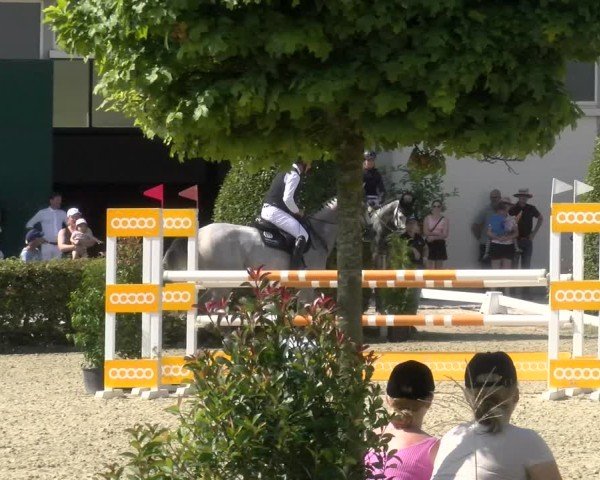 Reitturnier St.Wendel, Gestüt Welvert 2024