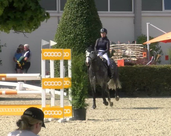 Reitturnier St.Wendel, Gestüt Welvert 2024