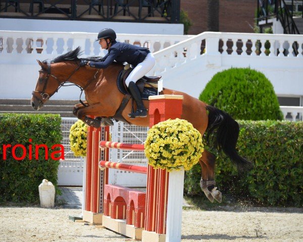 Springpferd Eroina del Maset (Spanisches Sportpferd, 2012, von Emilion)