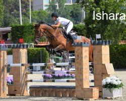 broodmare Ishara del Maset (Spanish Sport Horse, 2012, from Indret del Masset)