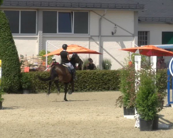 Reitturnier St.Wendel, Gestüt Welvert 2024